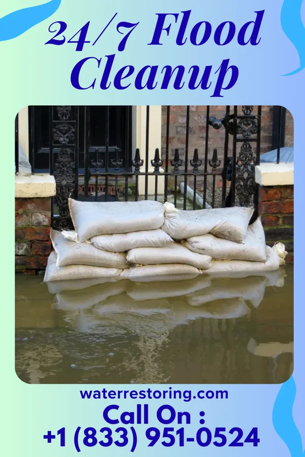 24/7 Flood Cleanup in Walker, MO