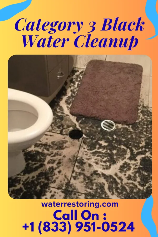 Category 3 Black Water Cleanup in Walker, MO