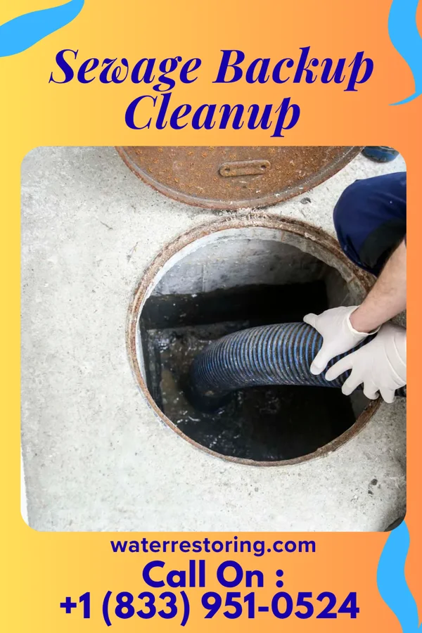Sewage Backup Cleanup in Walker, MO